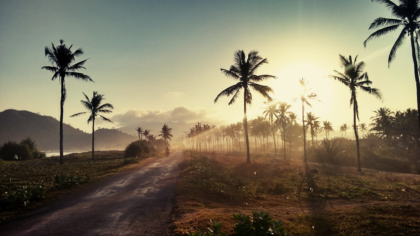 Staying Informed: News Habits of Indonesians